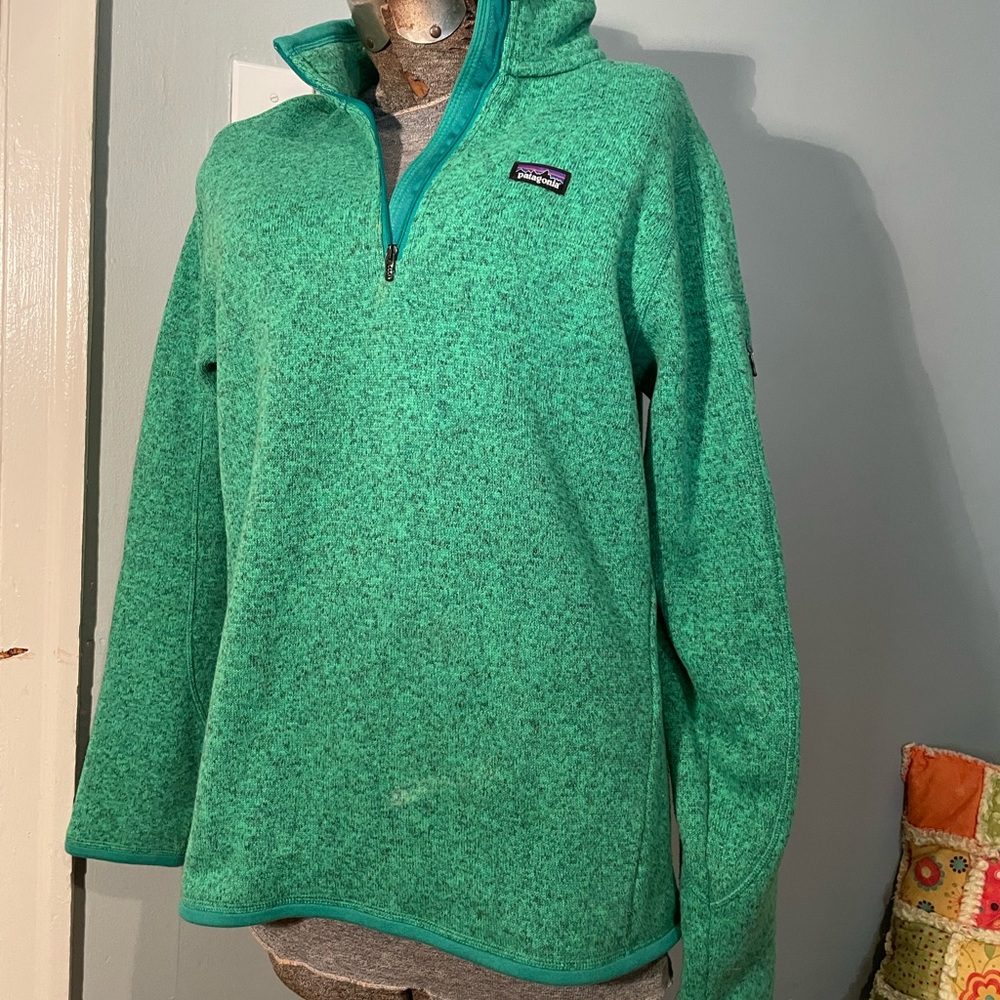 Patagonia fleece pullover